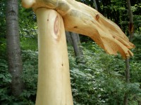 the_wind_from_the_mountains_2